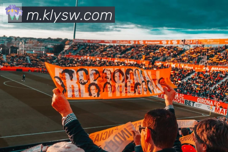 爱游戏体育app下载平台生态图