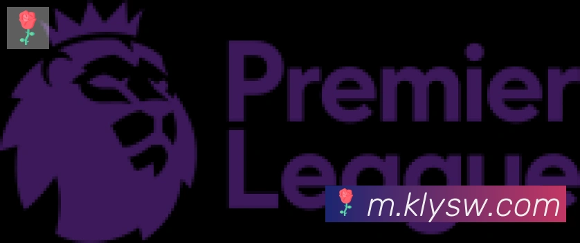 爱游戏体育app下载合作伙伴